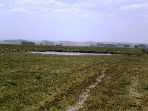 Venta Pintoresca Chacra Cercana A Laguna Garzon Rocha