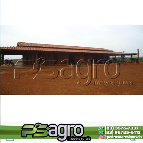 Imagem 11 de 16 de Fazenda À Venda, 65000 Hectares Por R$ 190.000.000 - Zona Rural - São Félix Do Xingu/pa - Fa0156