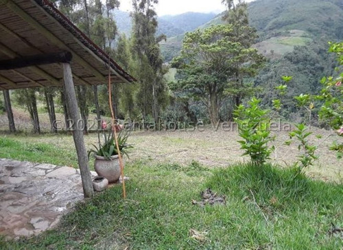 Milagros Inmuebles Terreno Venta Jimenez Lara Quíbor Economica Residencial Economico Comercial Código Inmobiliaria Rent-a-house 22-5384
