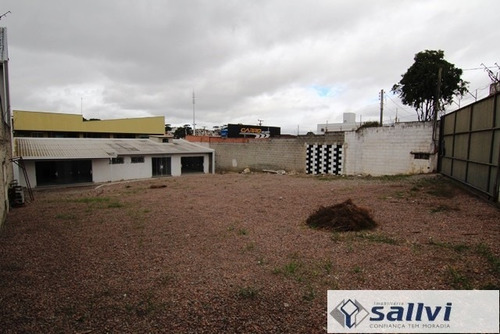 Imagem 4 de 21 de Loja Para Alugar - 01037.010