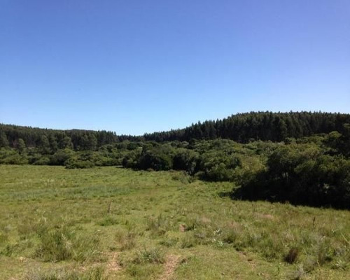 Quinta En Venta En Garzon