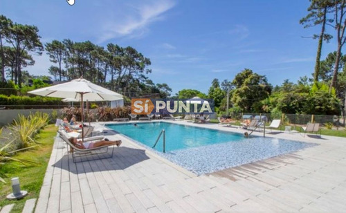 Imagen 13 de 14 de Apartamento En Punta Del Este, Roosevelt