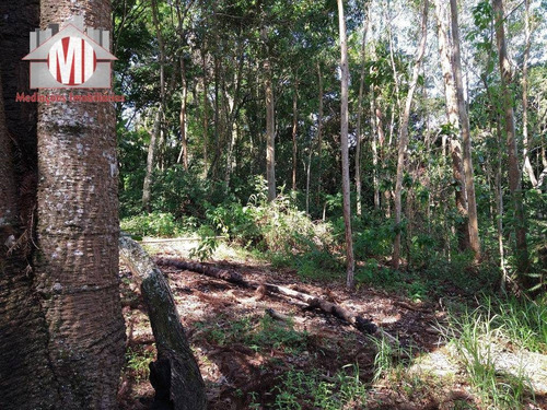 Imagem 19 de 30 de Chácara Com Excelente Terreno, Pomar, Riacho, Pertinho Da Cidade Com 02 Dormitórios À Venda, 12000 M² Por R$ 240.000 - Pedra Bela - Pedra Bela/sp - Ch0666