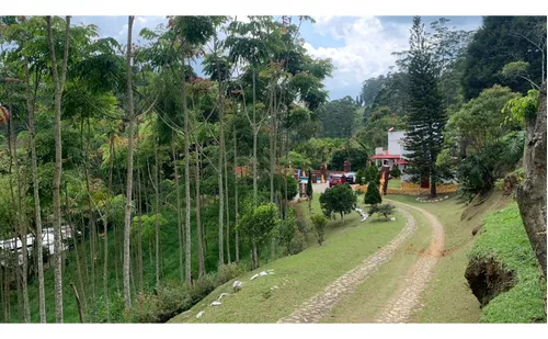 Vendo Finca En Caldas Antioquia Con Temática Ambientalista