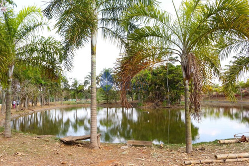 Imagem 12 de 14 de Chácara Boa Vista Próximo De Anápolis Com Casa Construída À Venda - Ch4232610
