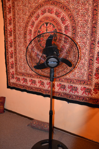 Ventilador De Pie Liliana Vprn20 Orbital Con Repeler 45 Cm Negro Negro Plástico 3 (Usado)