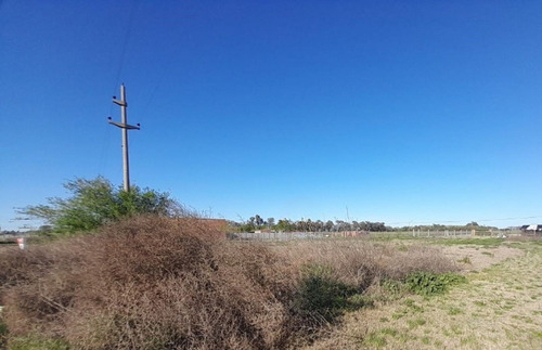 Lote Sobre Av. Circunv. Pucara, Macachín