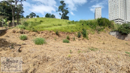 Imagem 6 de 8 de Área Em Cajamar, Ideal Para Condomínio. Opção Para Investidores