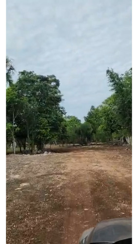 Lotes Ecológicos Etapa Ii En Venta