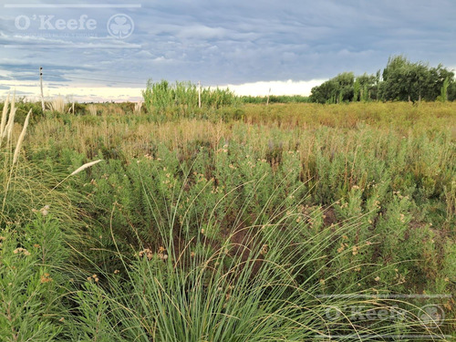 Oportunidad Venta De 2 Fincas Aledañas En Cañada Seca , San Rafael , Mendoza. Frutihorticola, Forrajes, Turismo,