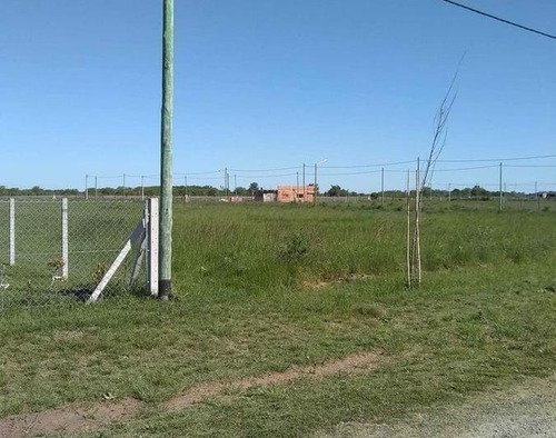 Imagen 3 de 6 de Terrenos Con Escritura En Domselaar
