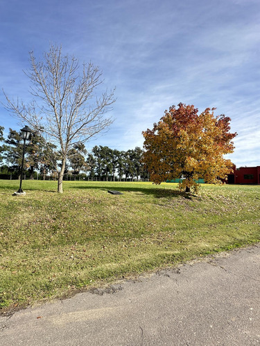 Terreno En Venta En Club De Campo Los Palenques - Manzanares - Pilar