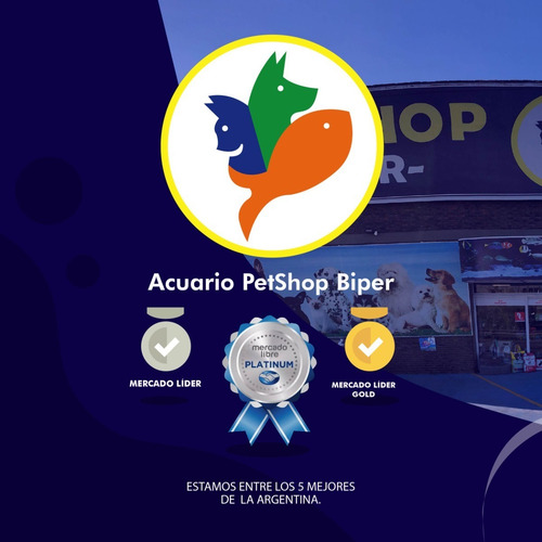Imagen 2 de 3 de Esfera Pelota De Acrílico Para Hamsters Jerbos 17cm Juguetes
