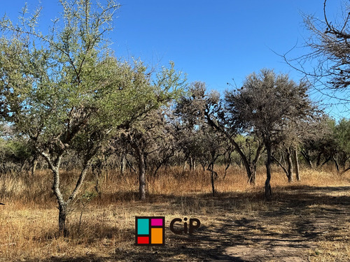 Venta De Lotes En Carpinteria Financiados