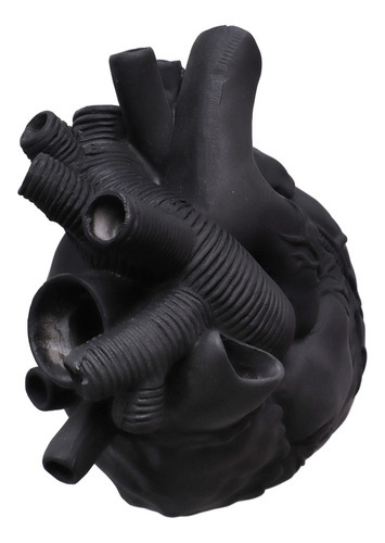 Jarrón De Corazón, Escultura De Resina, Arte Anatómico Creat