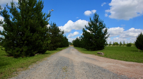Imagen 7 de 9 de Lote Quinta De 1500 M2 Chacras Don Jose