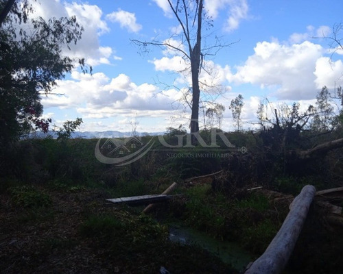 Imagem 2 de 3 de Área Rural Escriturada 24.000 M² No Vista Linda São José Dos Campos São Paulo - Ar00023 - 70152882