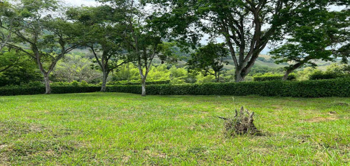 Lote En Venta En Km 41- Caldas (279057670).