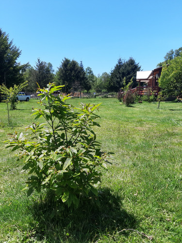 Parcela Con 2 Casas En 2da Faja Villarrica