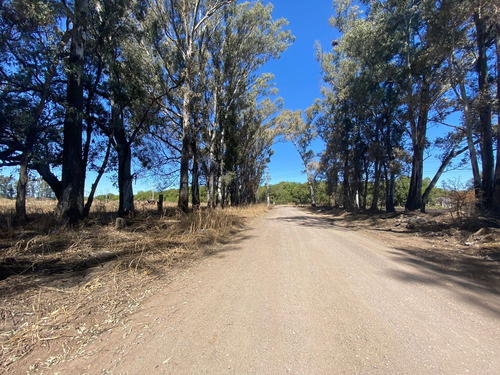 Venta Lote 30 Hectareas En Ferreyra