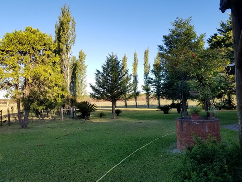 Gran Casco Con Vivienda De 5 Dormitorios 3 Baños, Pileta , 34 Hectareas,