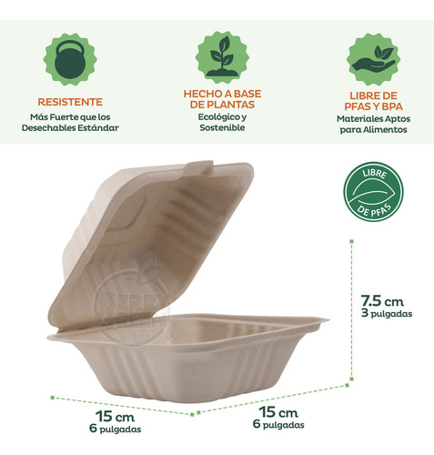 Berry Green 50 Hamburgueseros Contenedores Compostables Para Alimentos, Material de Alta Calidad, Resistente a Líquidos, Ecológico, Hecho de Fibras de Caña de Azúcar de 15 x 15 x 7.5 cm (6 Pulgadas)
