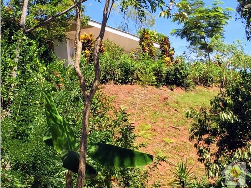 Imagen 6 de 14 de 4527 Mts Finca Con Casa Cel:83184182 / 48.000.000 Millones