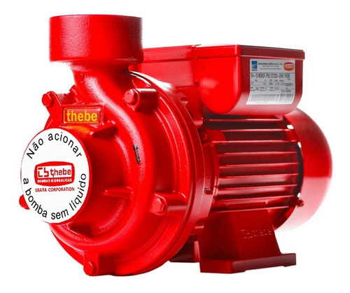 Bomba De Alta Vazão Thebe Thi-13 1,5cv Mono 127/220-254v