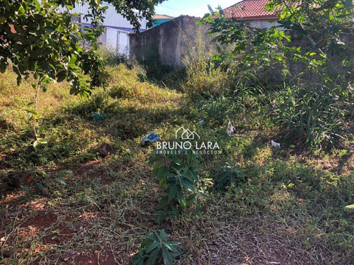 Imagem 7 de 9 de Terreno À Venda Em Igarapé Bairro Roseiras - Te0247