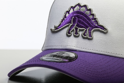 Imagen 2 de 4 de Gorra New Era Dinos Lfa 2020 9forty