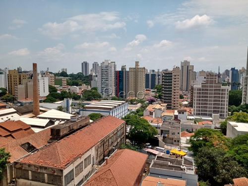 Imagem 18 de 19 de Sala À Venda Em Jardim Guanabara - Sa026828