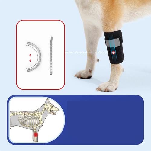 Soporte Para Patas Delanteras De Perro, Soporte Carpiano, S