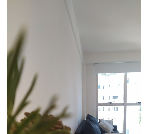 Imagen 8 de 20 de Excelente Semipiso Con Servicios La Plata - Plaza Paso By Lofter