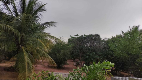 Imagem 5 de 14 de Sítio Á Venda Com Área De 34.000m² Na Região De Altamira- Ba