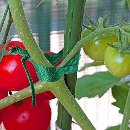 Garden String Tomato Plant Tie Cotton Twine Soft Stretchy 3