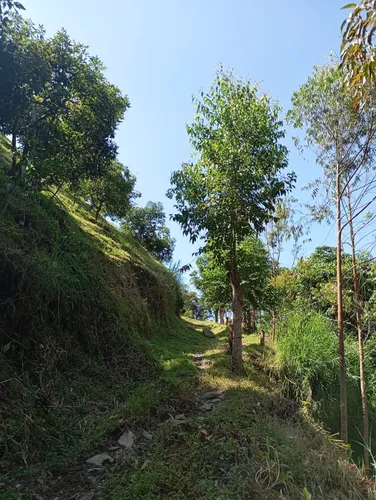 Finca Via Juntas - Ibagué