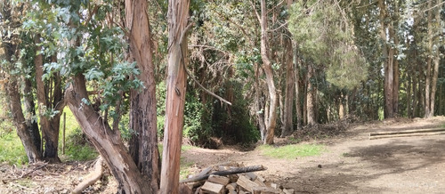 Parcela De 6,5 Ha En Comuna Rio Claro, Region Del Maule,