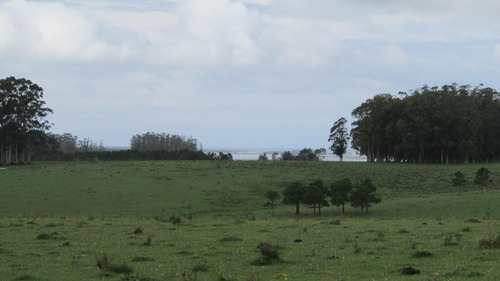 Chacra De 5has Cno. Del Anastasio - Altos De José Ignacio
