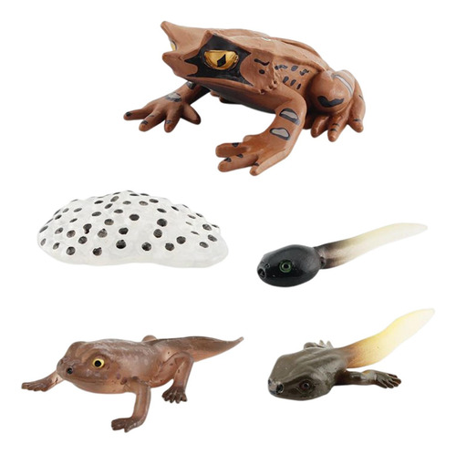 3 Figuritas De Animales Realistas Modelo De De Ranas Estilo