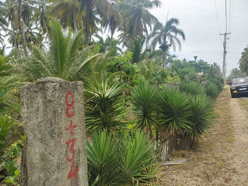 Se Vende En Nagua
