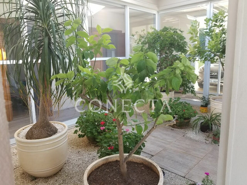 Imagem 18 de 24 de Burle Marx- 350m² - 3 Suítes; Excelente Localização; Living Amplo; Gramado; Cozinha Repleta De Armários - Cncr1093