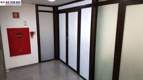Imagem 11 de 14 de Oportunidade Unica - Mr58487