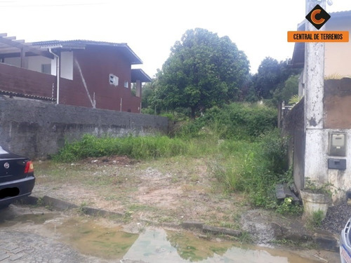 Imagem 10 de 17 de Lote No Picuaia - Te00465 - 69799583