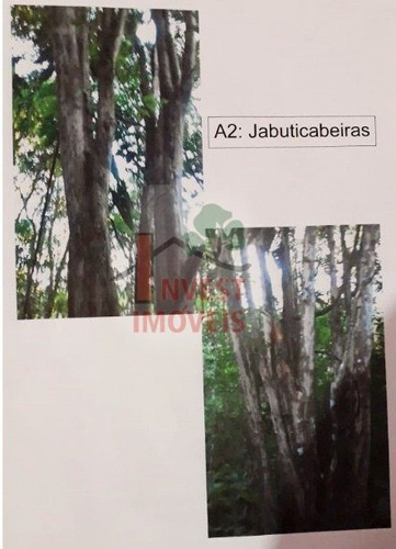 Imagem 10 de 10 de Area - Ref: 4743 - V-4743