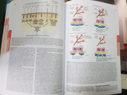 Imagen 8 de 8 de Harrison, Principios De Medicina Interna 20 Edicion ( 2019)