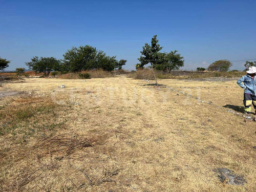 Venta De Terreno En Tenango, Jantetelco, Morelos, En Carr. Fed. Cuautla-izucar
