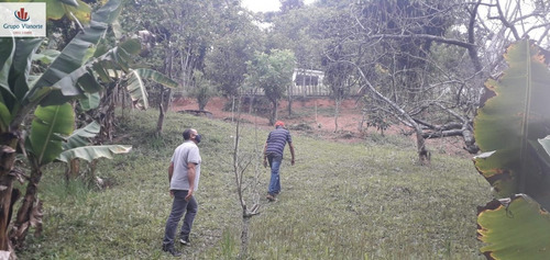 Imagem 13 de 15 de Chácara A Venda No Bairro Terra Preta Em Mairiporã - Sp. - Jv1164-1