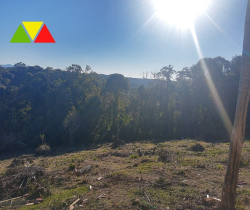 Imagem 20 de 27 de Sitio - St00016 - 69926455