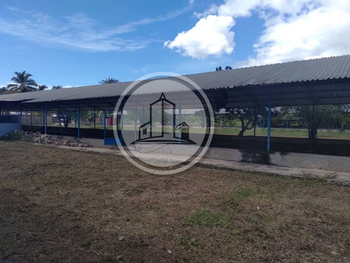 Granja Avicola En Venta 1.341mts2 + 3ha En San Francisco De Asis. 002jsc