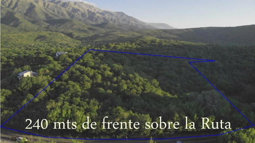 Imagen 2 de 17 de Hermosa Hectárea En Venta En Los Hornillos, Traslasierra Sobre Ruta, Escritura Y Servicios